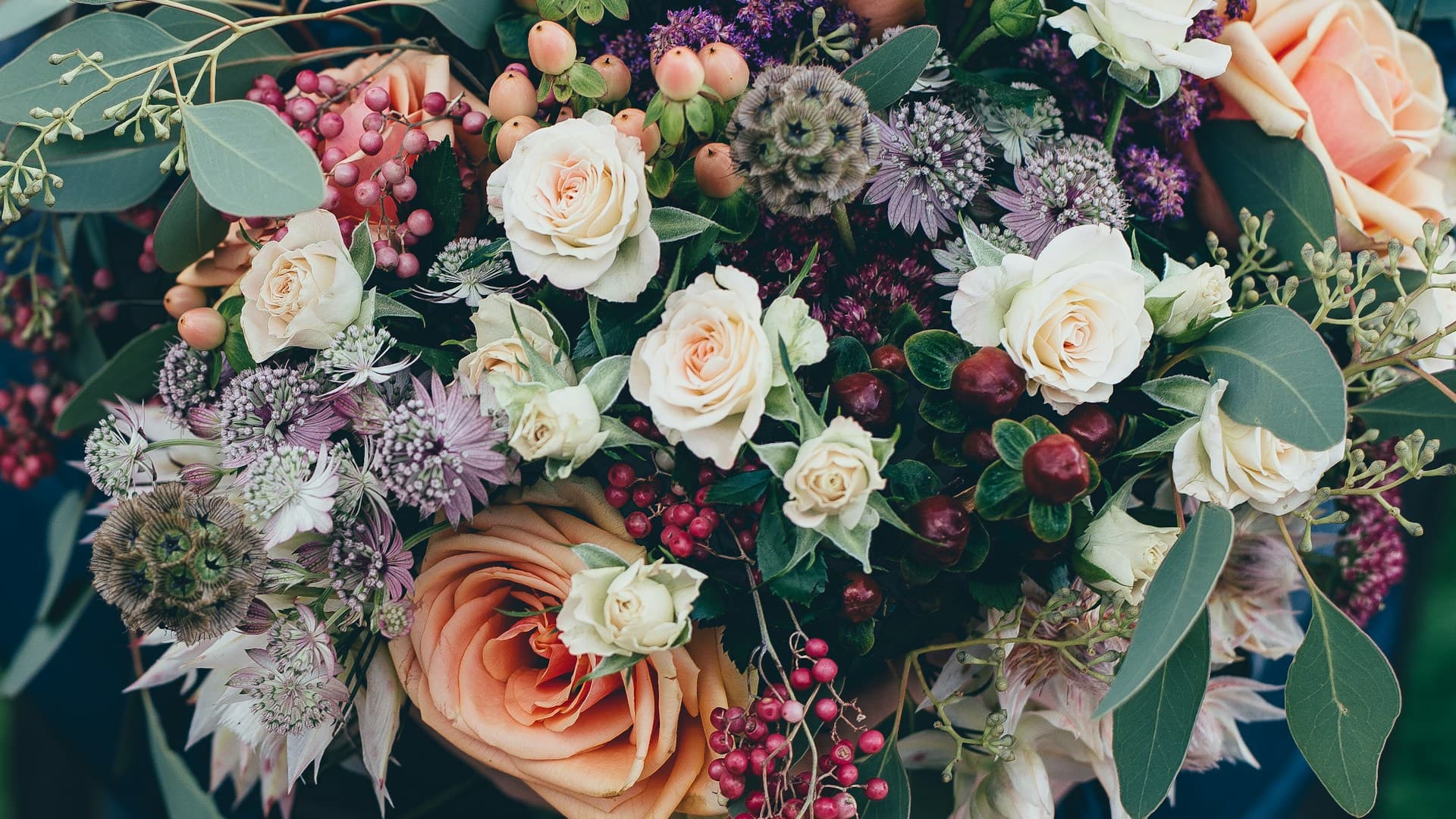Blomsterbutikker og dyrebutikker
